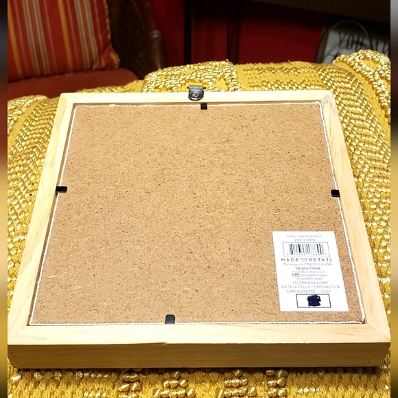 Plant Shadow Box - Picture 10 of 10